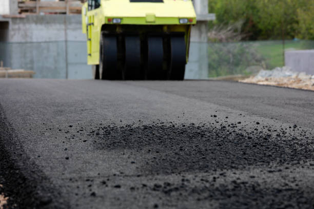 Best Local Driveway Pavers  in Fruitridge Pocket, CA